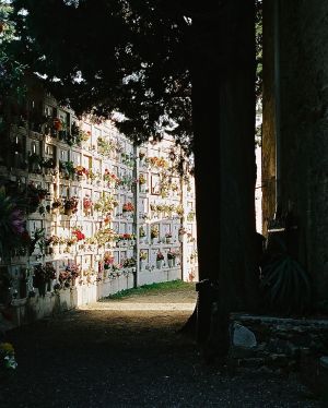 WS cementeries - 02.jpg